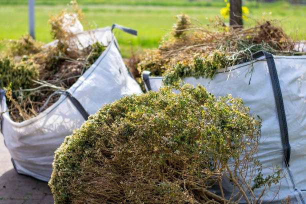 Trusted La Mesilla, NM Junk Removal Services Experts